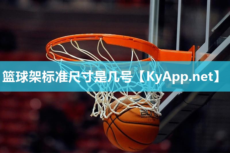篮球架标准尺寸是几号