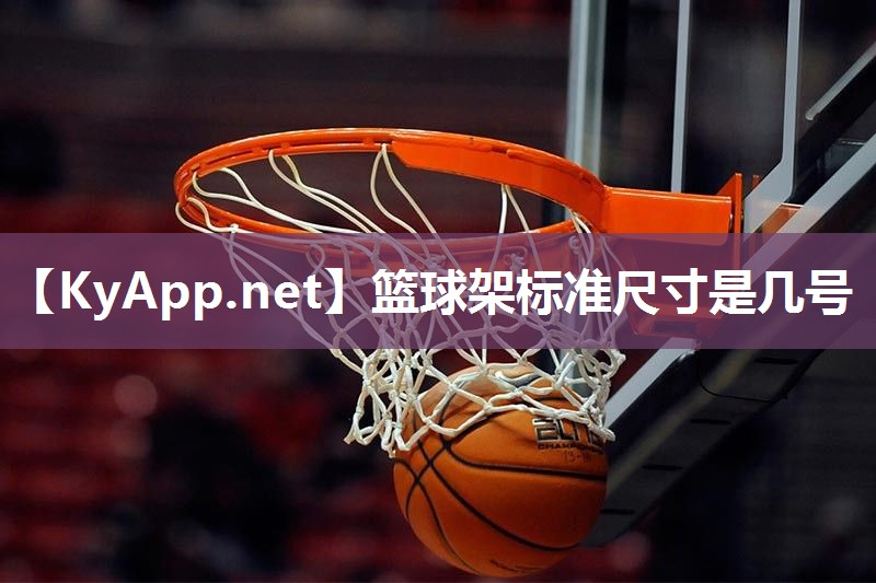 篮球架标准尺寸是几号