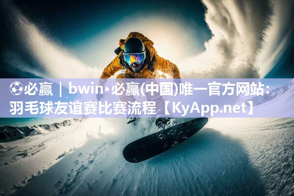 羽毛球友谊赛比赛流程